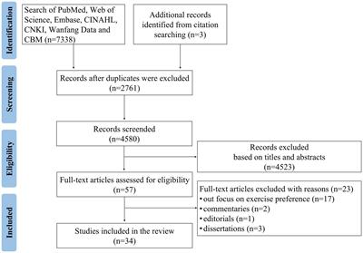 Exercise preference in stroke survivors: a concept analysis